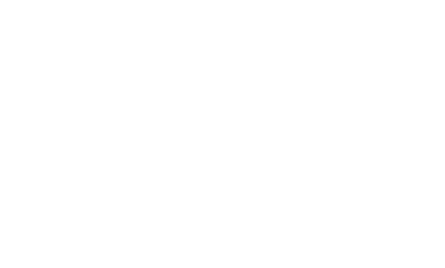 Nirvana Hotels